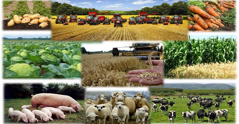 Сельское хозяйство Нижегородской области